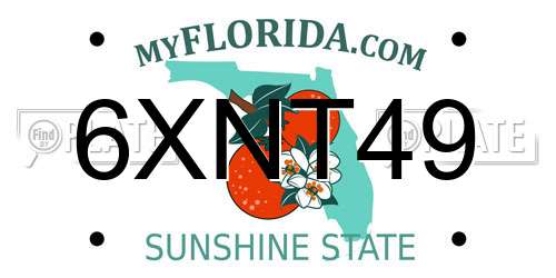 6XNT49 Florida License Plate