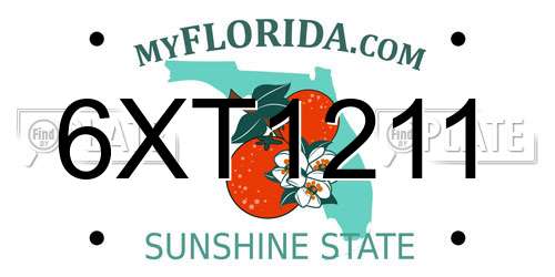 6XT1211 Florida License Plate