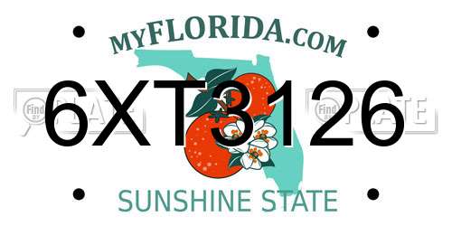 6XT3126 Florida License Plate