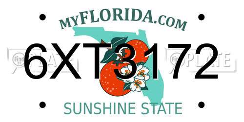 6XT3172 Florida License Plate