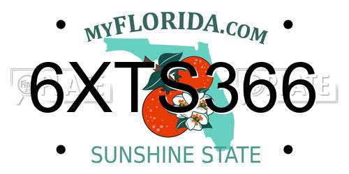 6XTS366 Florida License Plate