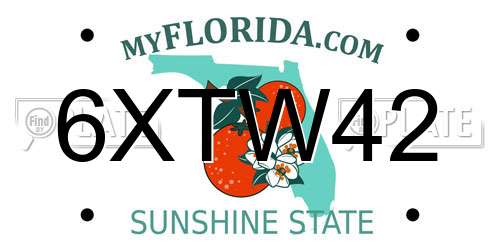 6XTW42 Florida License Plate