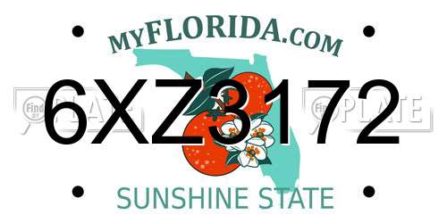 6XZ3172 Florida License Plate