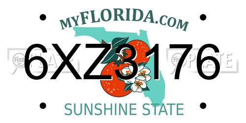 6XZ3176 Florida License Plate