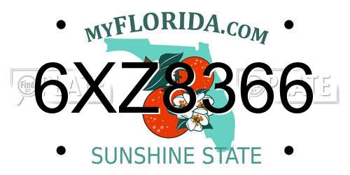 6XZ8366 Florida License Plate