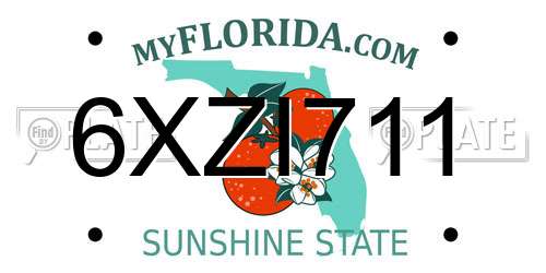 6XZI711 Florida License Plate