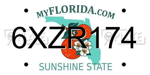 6XZR174 Florida License Plate
