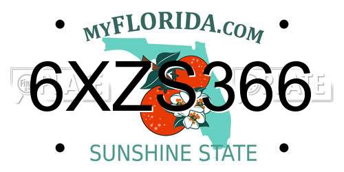 6XZS366 Florida License Plate