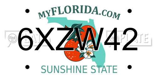 6XZW42 Florida License Plate