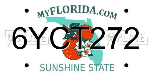 6YCT272 Florida License Plate