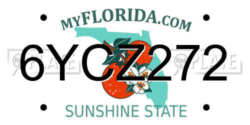 6YCZ272 Florida License Plate