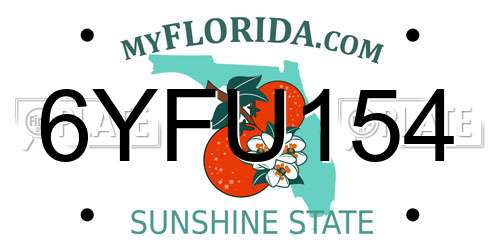 6YFU154 Florida License Plate