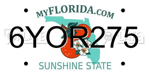 6YOR275 Florida License Plate