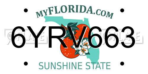 6YRV663 Florida License Plate