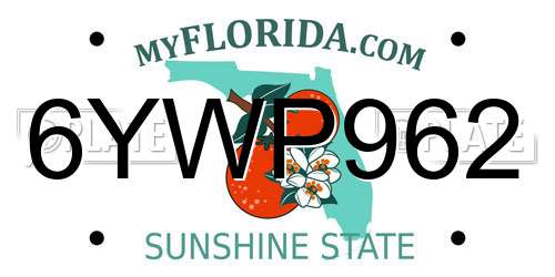 6YWP962 Florida License Plate