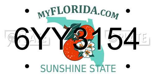 6YY3154 Florida License Plate