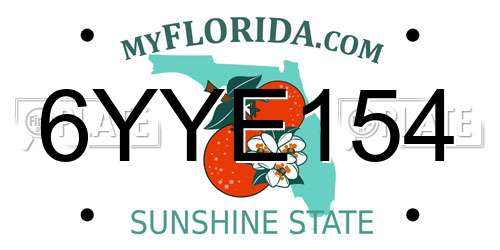 6YYE154 Florida License Plate