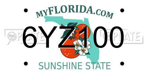 6YZ100 Florida License Plate