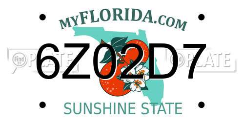 6Z02D7 Florida License Plate