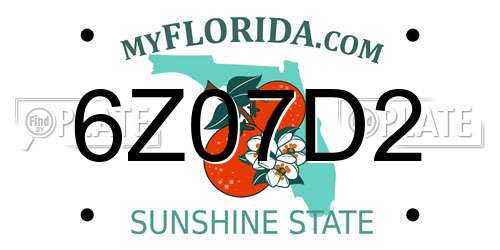 6Z07D2 Florida License Plate