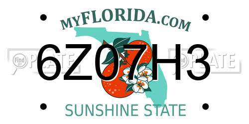 6Z07H3 Florida License Plate