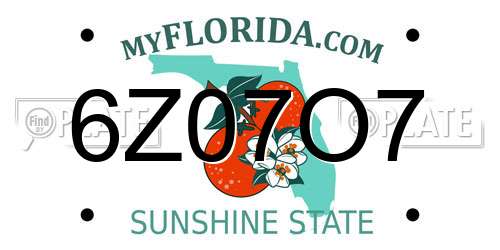 6Z07O7 Florida License Plate