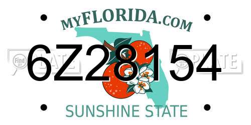 6Z28154 Florida License Plate
