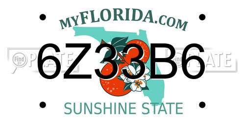 6Z33B6 Florida License Plate