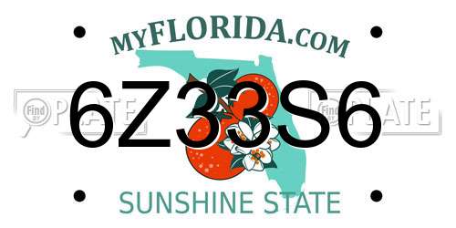 6Z33S6 Florida License Plate