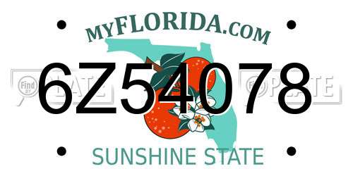 6Z54078 Florida License Plate
