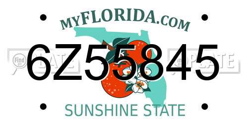 6Z55845 Florida License Plate