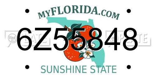 6Z55848 Florida License Plate