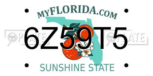 6Z59T5 Florida License Plate