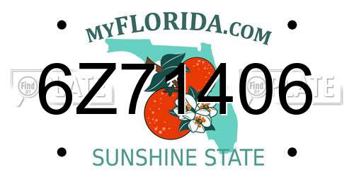 6Z71406 Florida License Plate