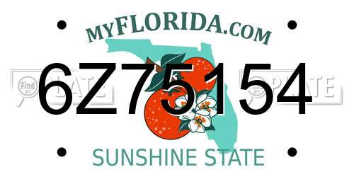 6Z75154 Florida License Plate