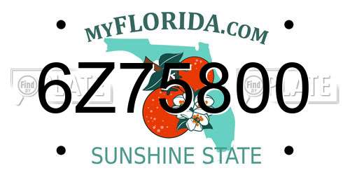 6Z75800 Florida License Plate