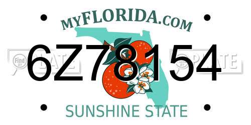 6Z78154 Florida License Plate