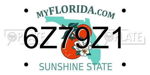 6Z79Z1 Florida License Plate