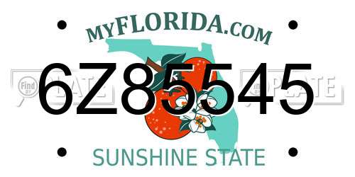 6Z85545 Florida License Plate