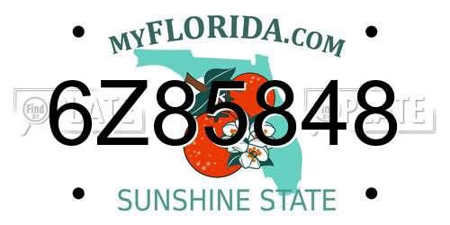 6Z85848 Florida License Plate
