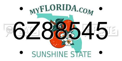 6Z88545 Florida License Plate