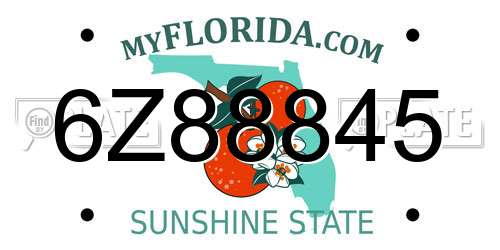 6Z88845 Florida License Plate