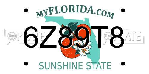 6Z89T8 Florida License Plate