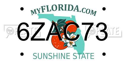 6ZAC73 Florida License Plate