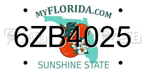 6ZB4025 Florida License Plate