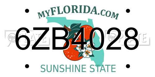 6ZB4028 Florida License Plate