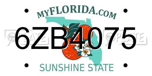 6ZB4075 Florida License Plate