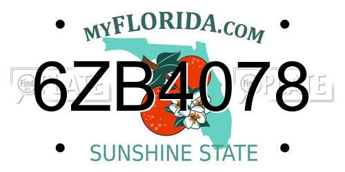 6ZB4078 Florida License Plate