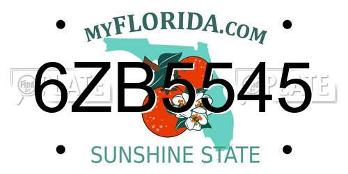 6ZB5545 Florida License Plate