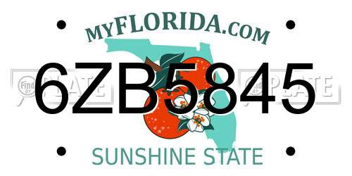 6ZB5845 Florida License Plate